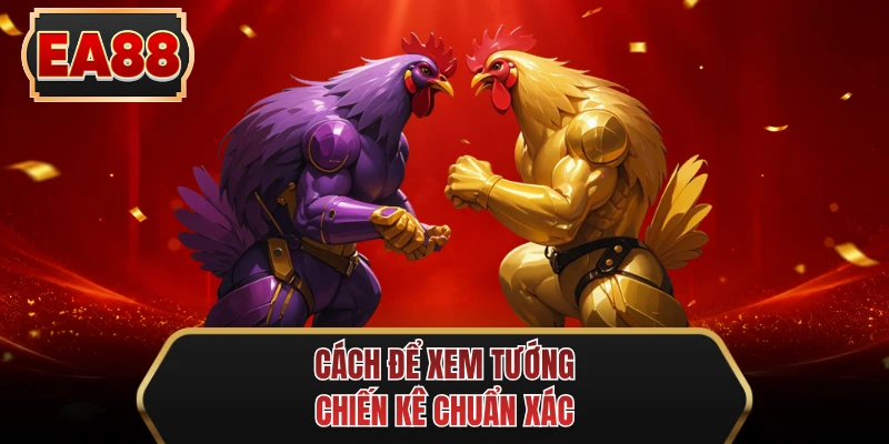 cach de xem tuong chien ke chuan xac cach de xem tuong chien ke chuan xac