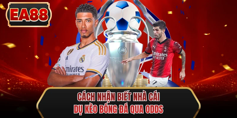 cach nhan biet nha cai du keo bong da qua odds