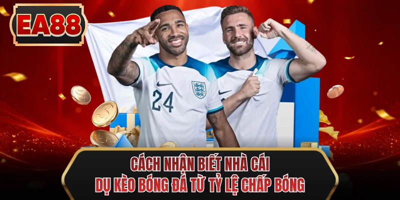 cach nhan biet nha cai du keo bong da tu ty le chap bong