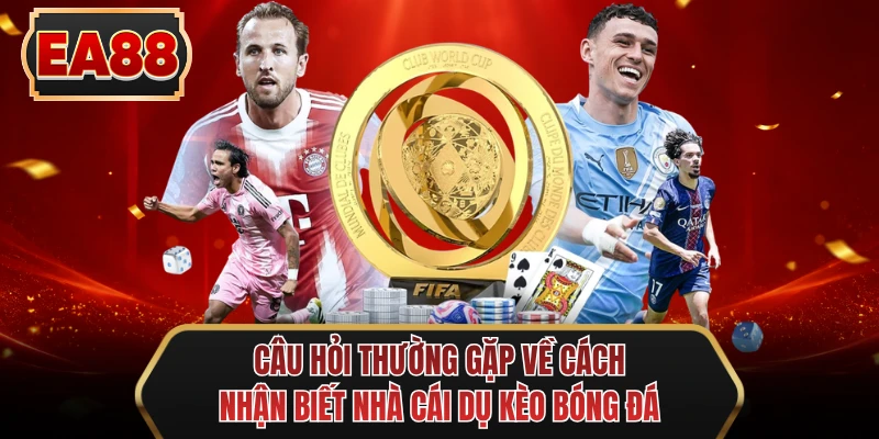 cau hoi thuong gap ve cach nhan biet nha cai du keo bong da
