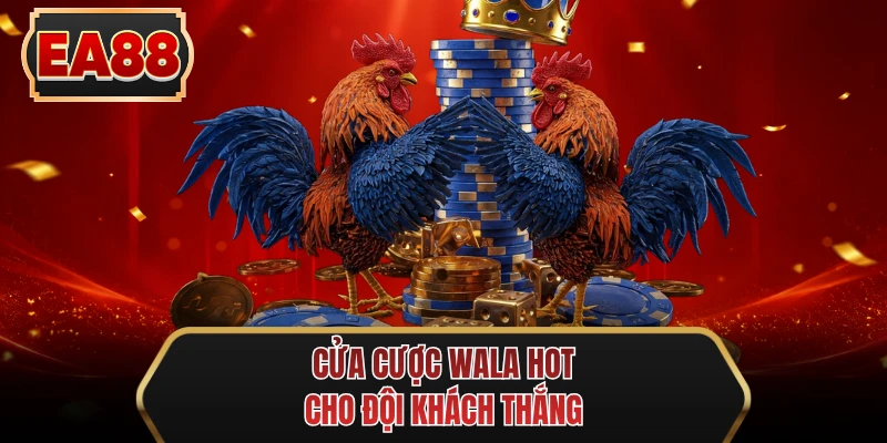 cua cuoc wala hot cho doi khach thang cua cuoc wala hot cho doi khach thang