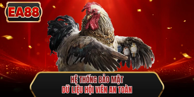 he thong bao mat du lieu hoi vien an toan he thong bao mat du lieu hoi vien an toan