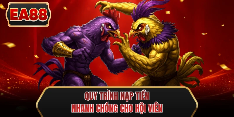 quy trinh nap tien nhanh chong cho hoi vien quy trinh nap tien nhanh chong cho hoi vien